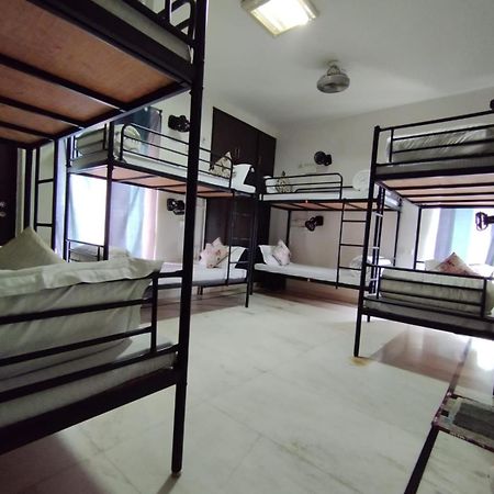 A Sleepy Fox Hostel New Delhi Ngoại thất bức ảnh