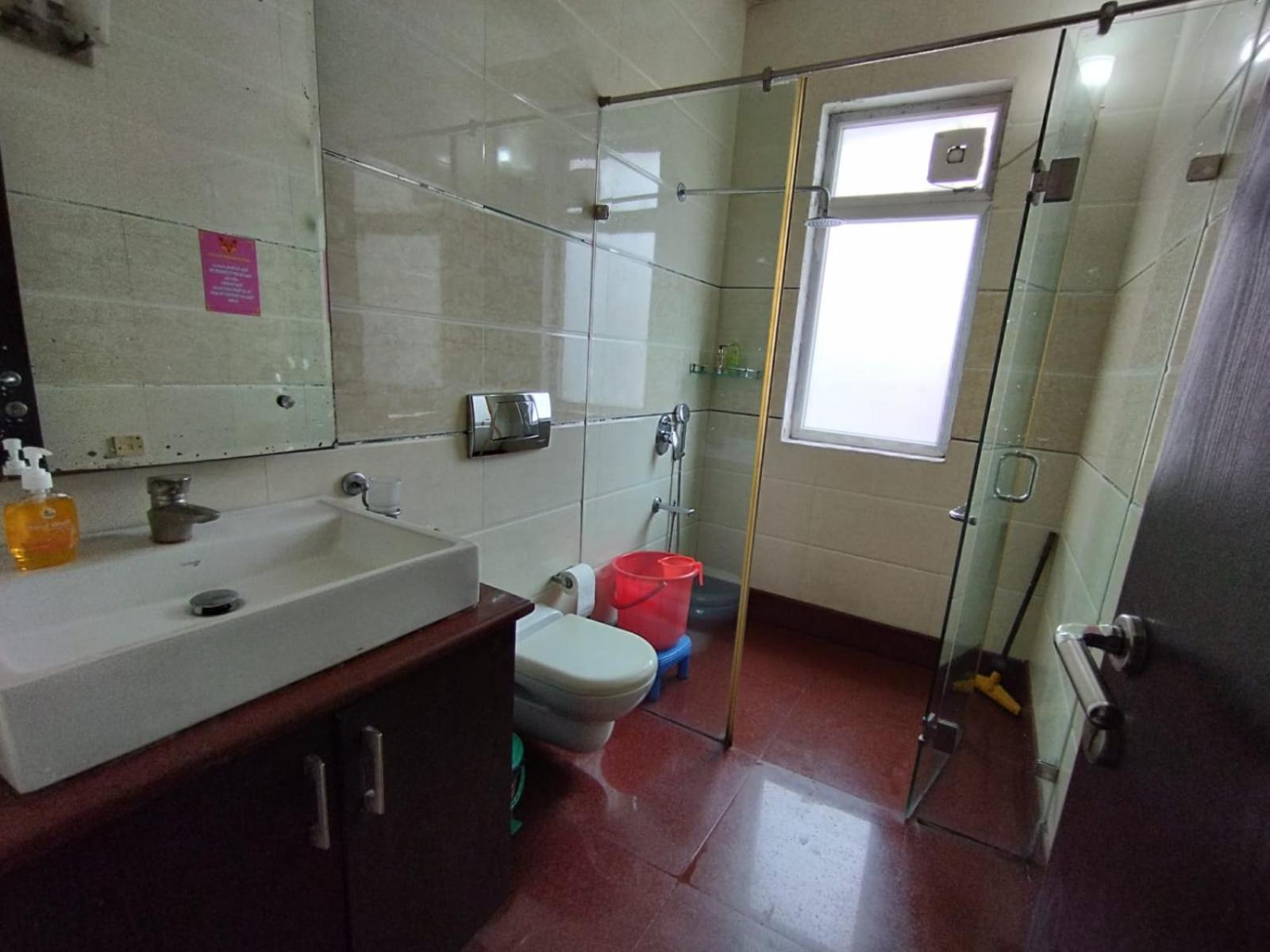 A Sleepy Fox Hostel New Delhi Ngoại thất bức ảnh