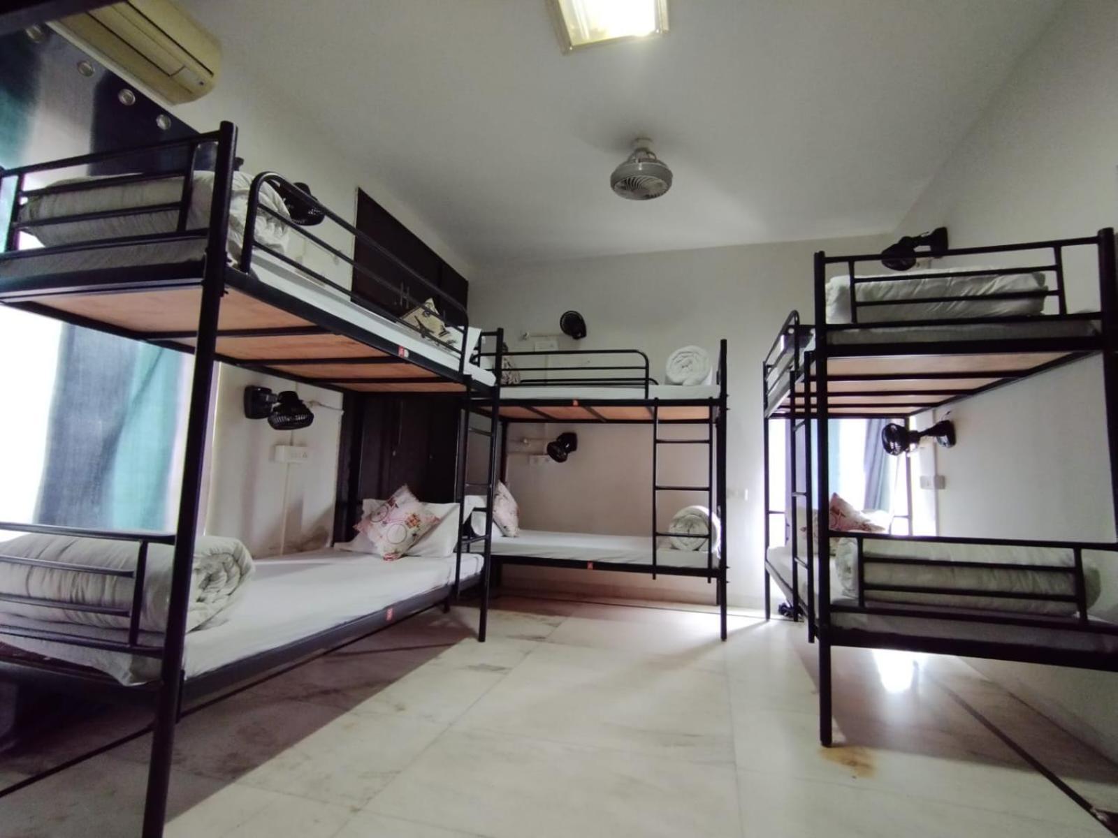 A Sleepy Fox Hostel New Delhi Ngoại thất bức ảnh