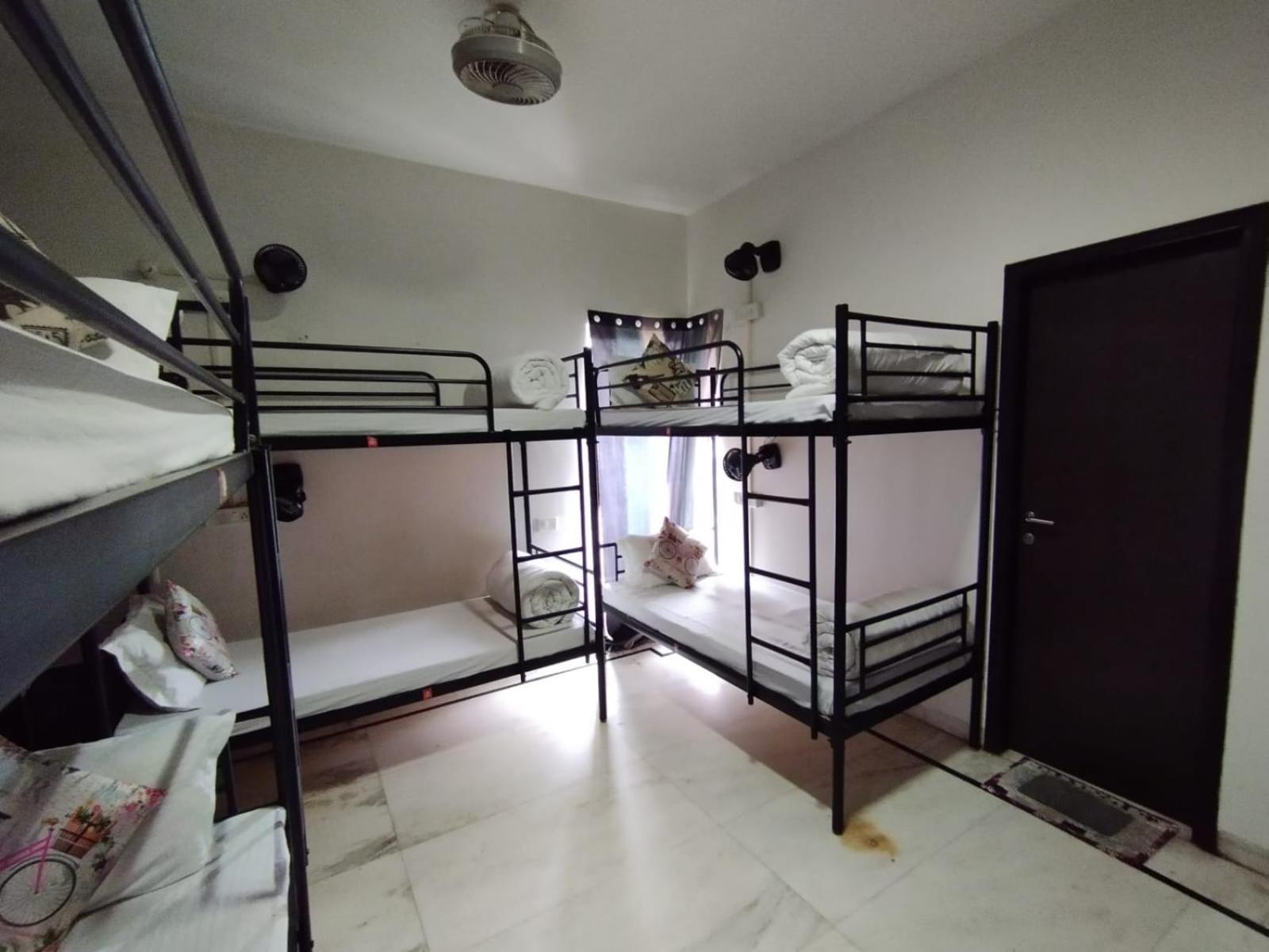 A Sleepy Fox Hostel New Delhi Ngoại thất bức ảnh