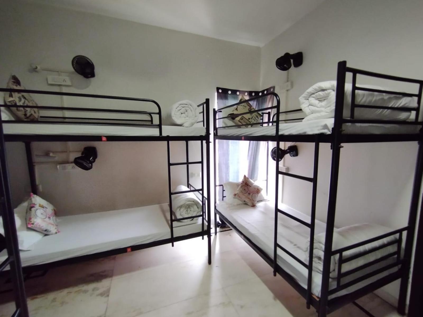 A Sleepy Fox Hostel New Delhi Ngoại thất bức ảnh
