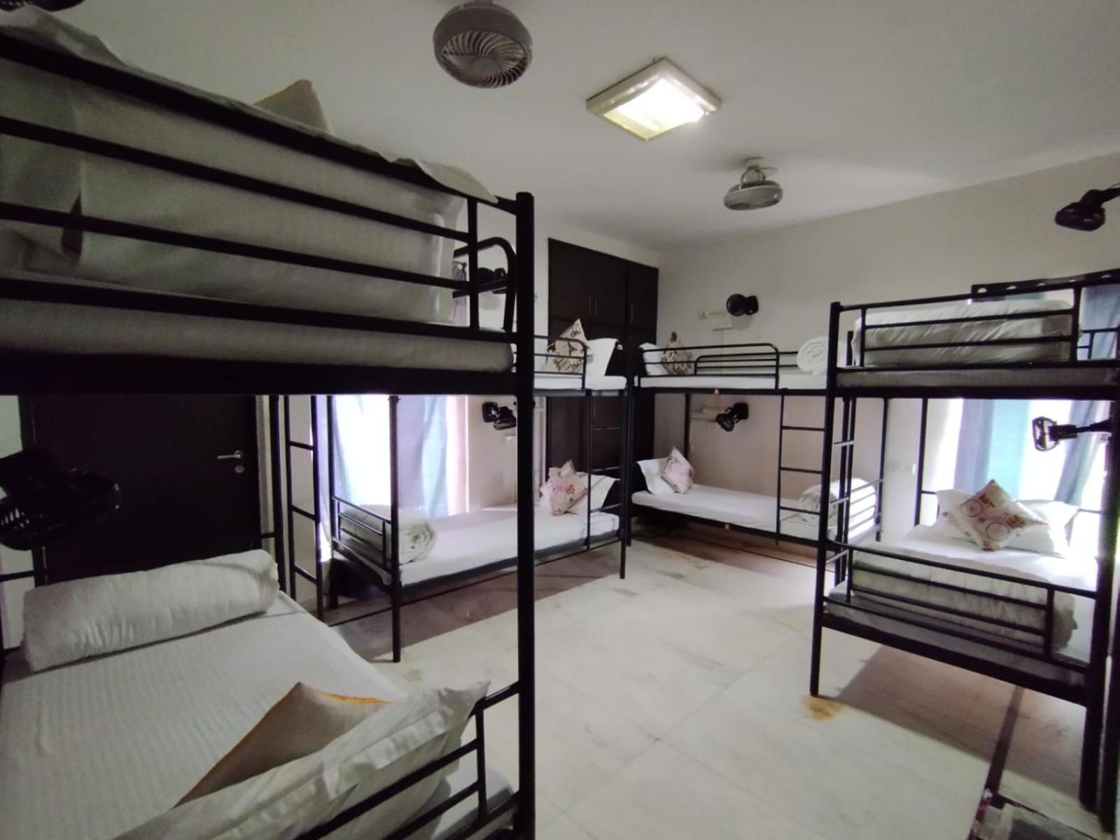 A Sleepy Fox Hostel New Delhi Ngoại thất bức ảnh